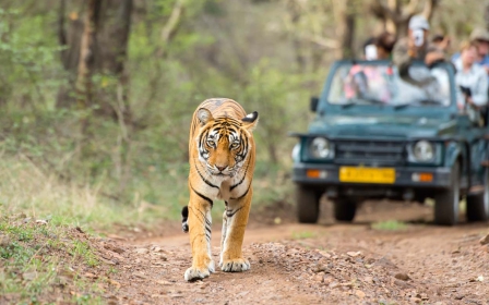 India Golden Triangle With The Tigers Of Ranthambore
